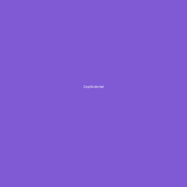 Cepillo dental